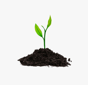Altro Per Il Giardinaggio