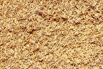 Lolla di Riso 200 Lt ( Kg.15/19 )