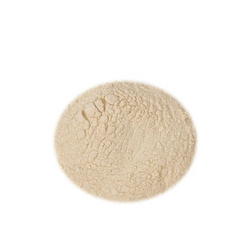 Estratto di malto Amber in polvere Kg.1 SPRAYMALT