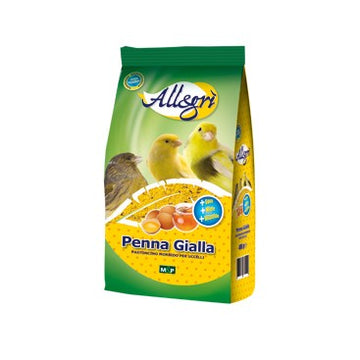 Pastoncino Allegrì penna gialla gr.400