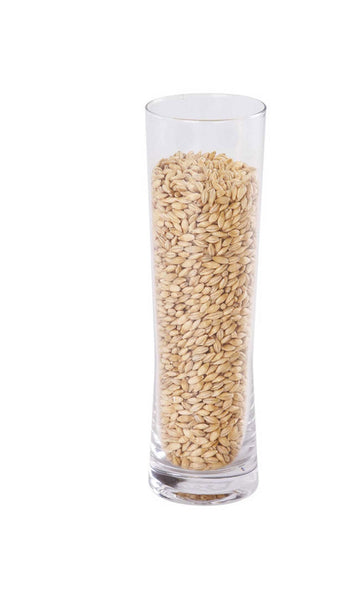 Malto Pale 100% Maris Otter Kg.1 MUNTONS