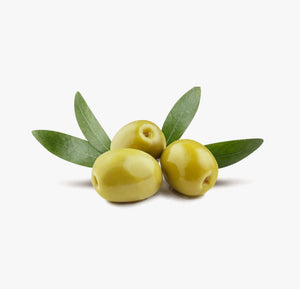 Raccolta Delle Olive