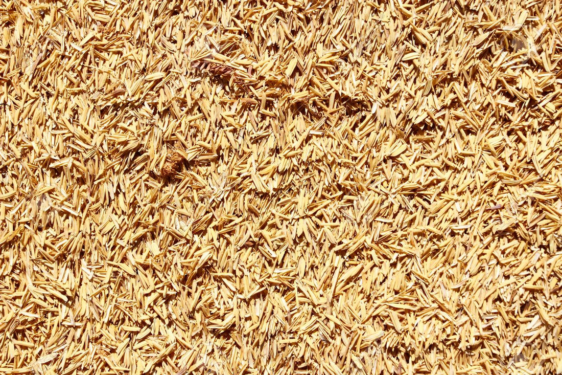 Lolla di Riso 200 Lt ( Kg.15/19 )