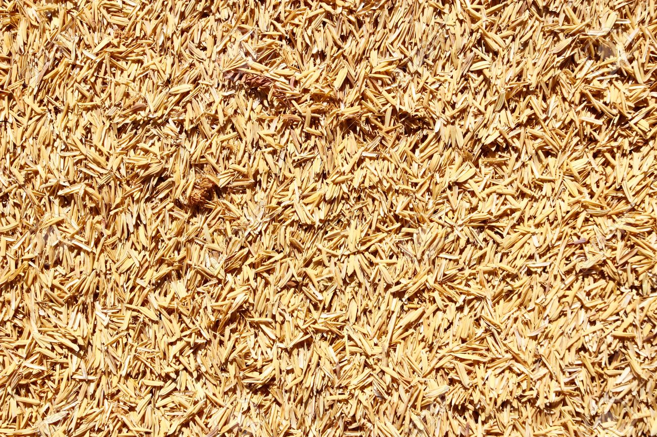 Lolla di Riso 200 Lt ( Kg.15/19 )