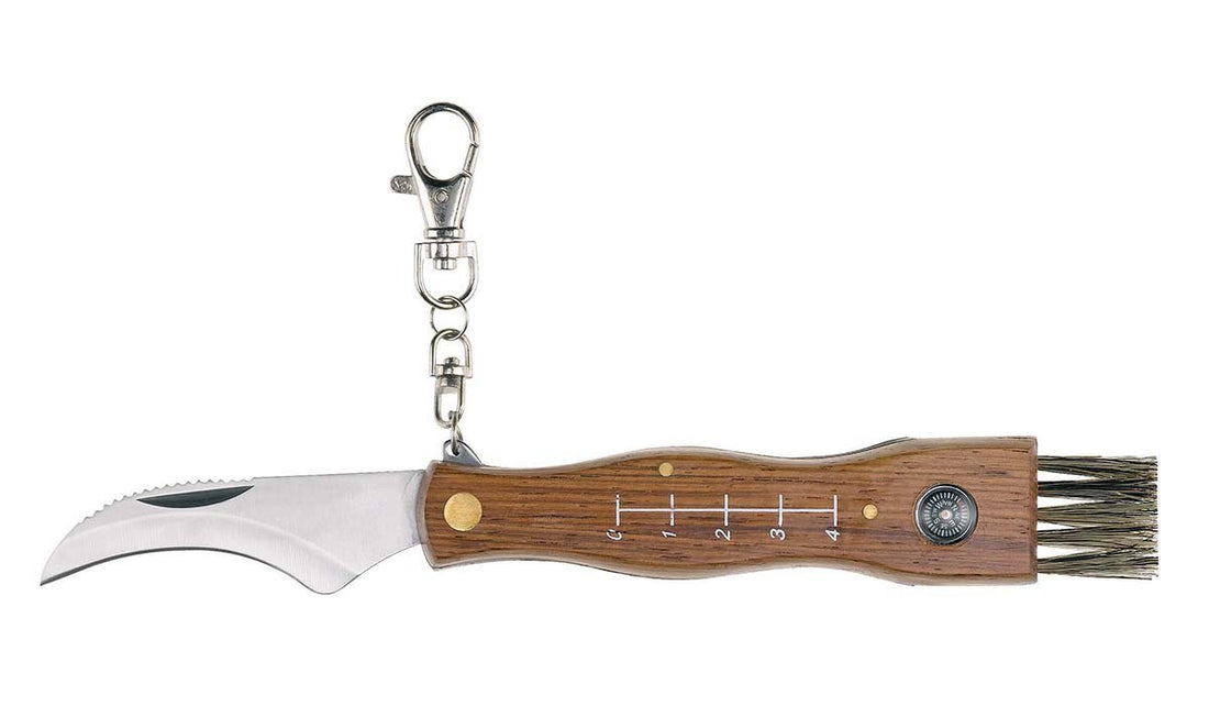 Coltello coglifunghi con bussola cm.20 Art.26300 AUSONIA