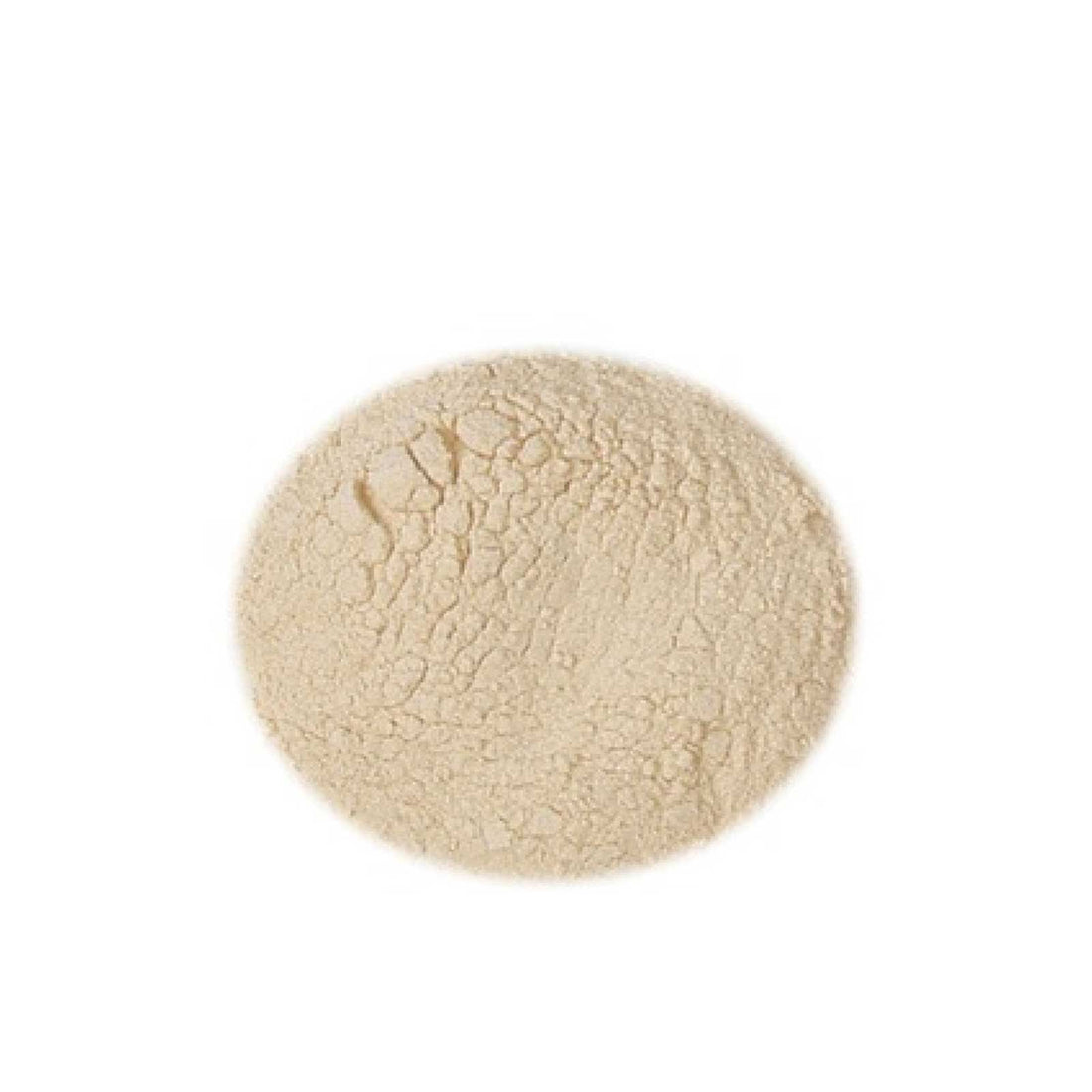 Estratto di malto Amber in polvere Kg.1 SPRAYMALT