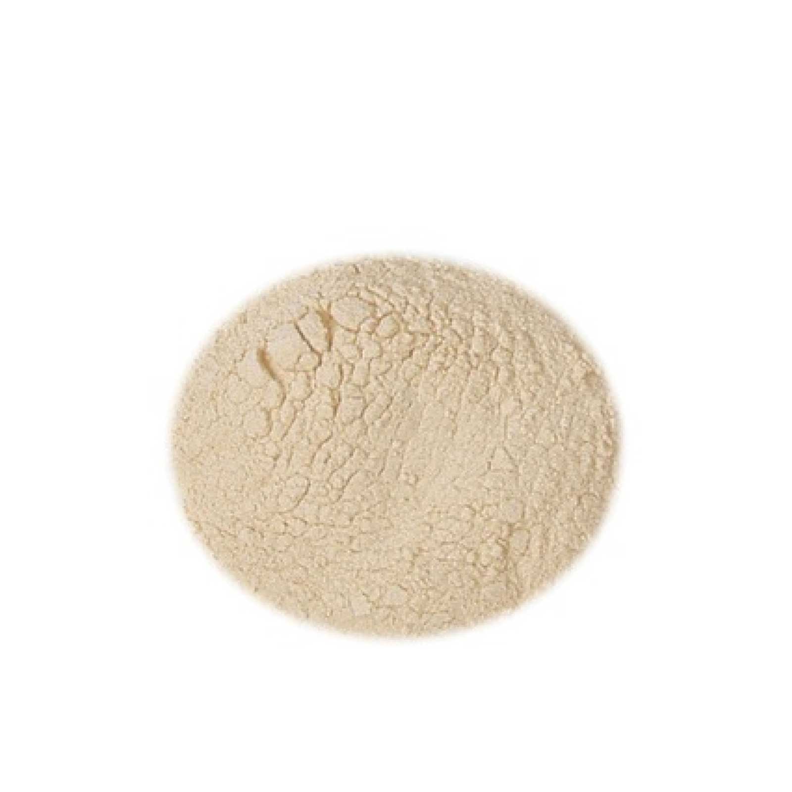 Estratto di malto Amber in polvere Kg.1 SPRAYMALT