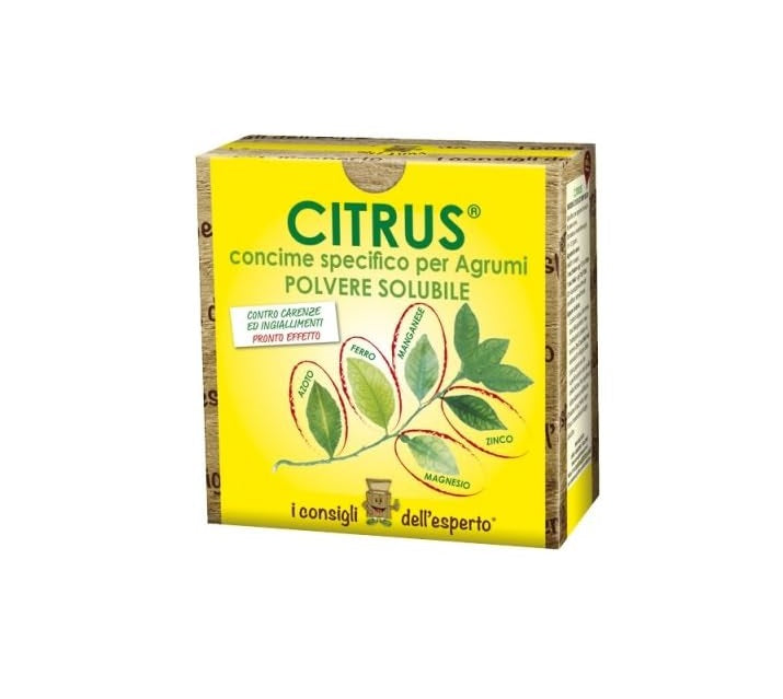 Concime per agrumi Citrus 450 g I consigli dell'esperto