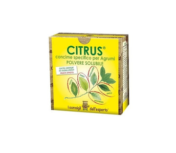 Concime per agrumi Citrus 900 g I consigli dell'esperto