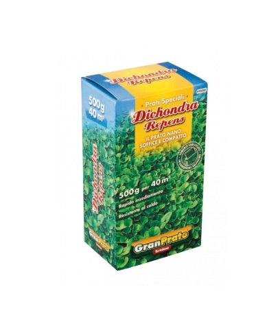 Sementi per prato Dichondra Repens ORTOLANO