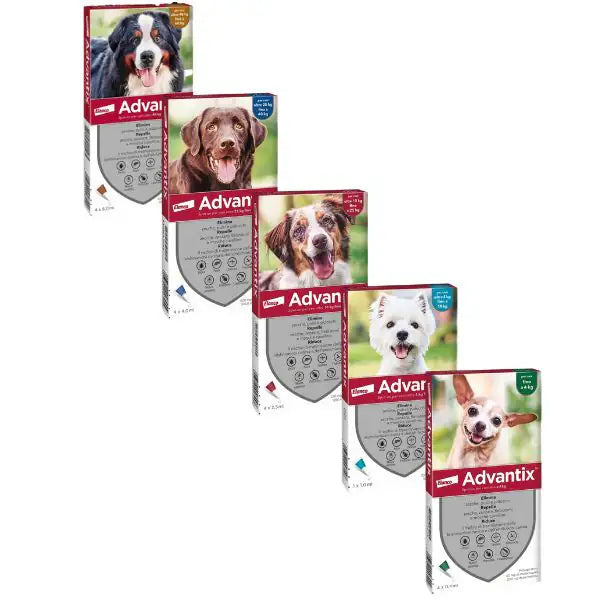 Advantix antiparassitario Spot-On per cani
