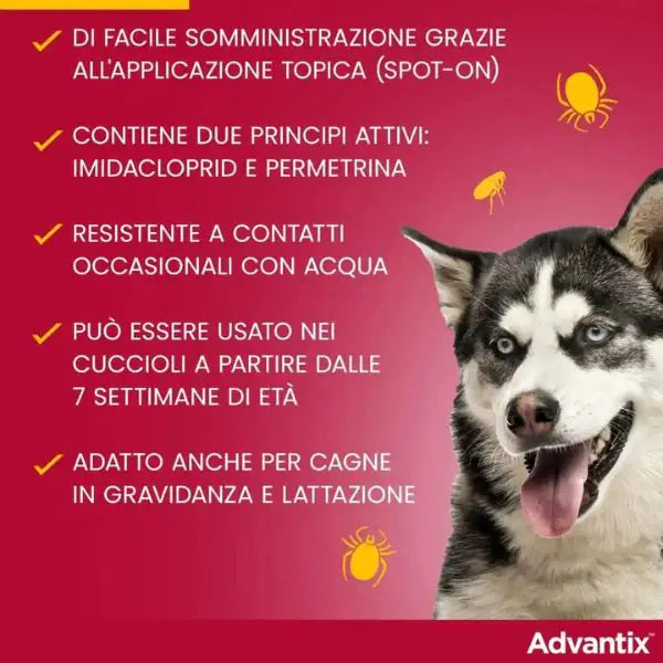 Advantix antiparassitario Spot-On per cani