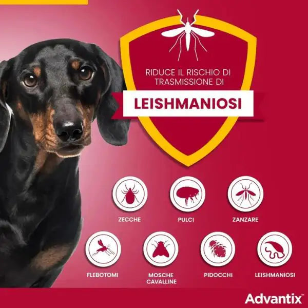 Advantix antiparassitario Spot-On per cani