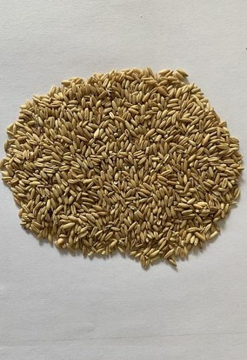 Avena sgusciata per uccelli 1 kg