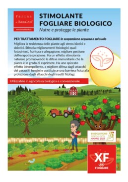 Stimolante Fogliare Biologico Farina di Basalto TIPO XF