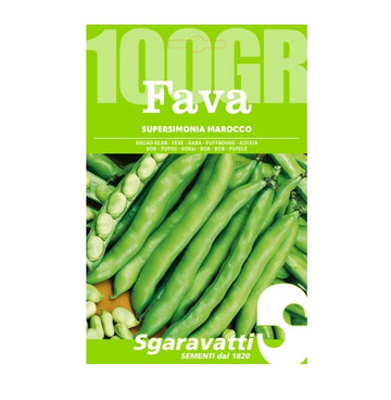 Fava Aguadulce Supersimonia Marocco Sgaravatti Semi per orto