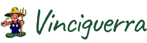 Vinciguerra SRL logo