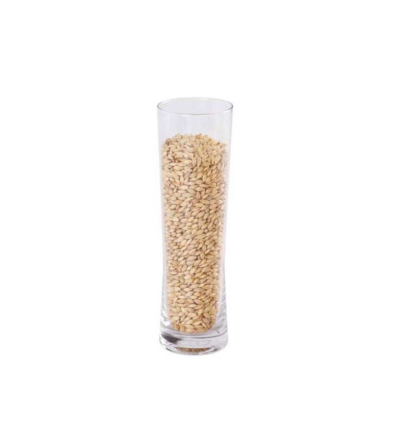 Malto Extra Pale 100% Maris Otter Kg.5 MUNTONS