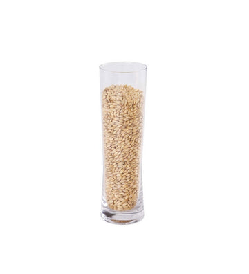 Malto Extra Pale 100% Maris Otter Kg.5 MUNTONS
