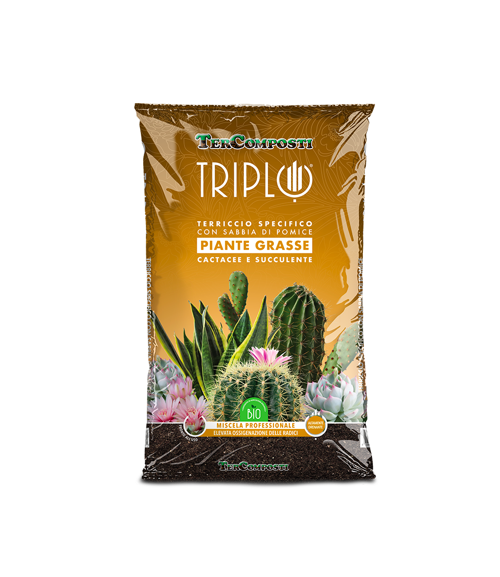 Terriccio per Piante Grasse 10 l TERCOMPOSTI