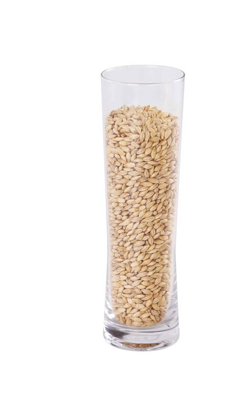 Malto Pale 100% Maris Otter Kg.1 MUNTONS