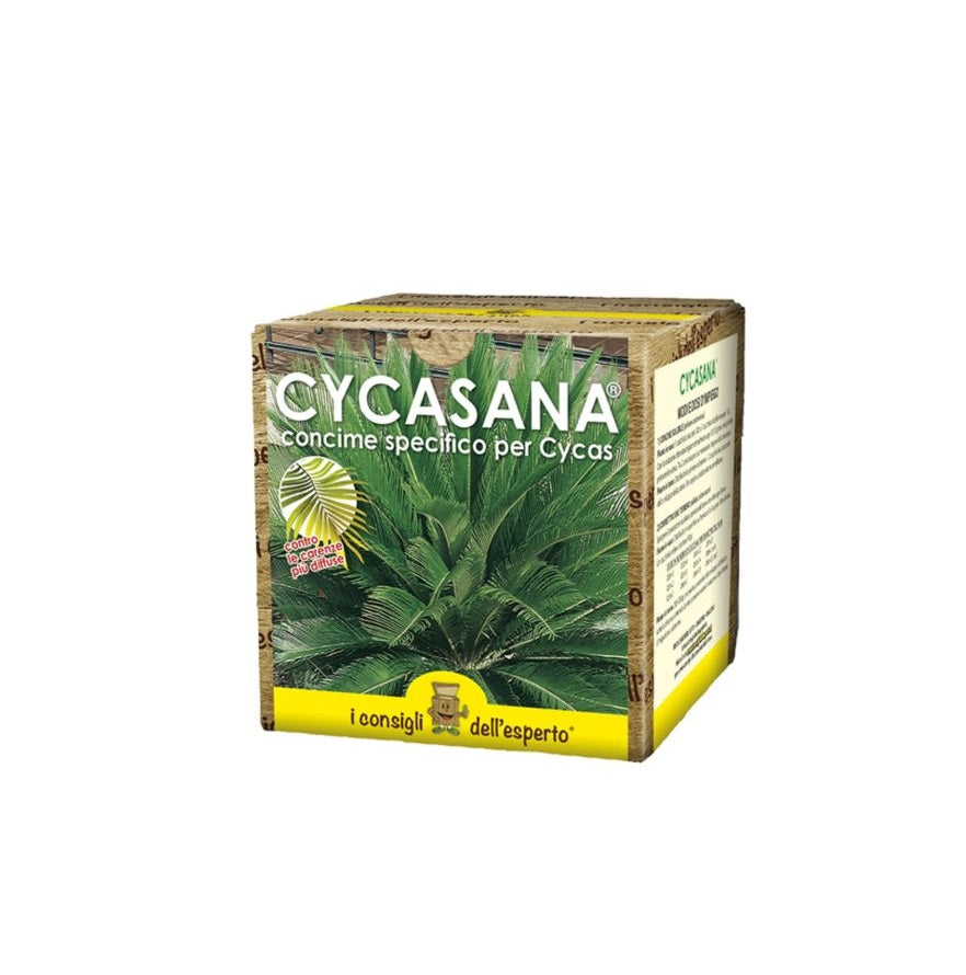 Concime idrosolubile per Cycas CYCASANA Gr.800