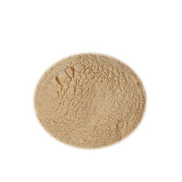 Estratto di malto Dark in polvere Kg.1 SPRAYMALT