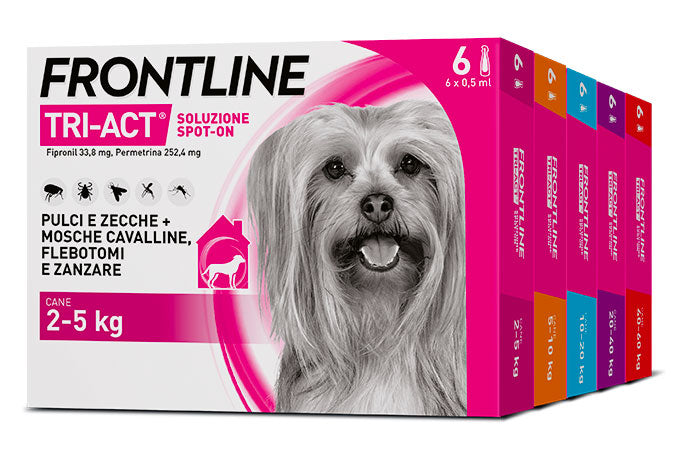 Antiparassitario spot-on Frontline Tri-act