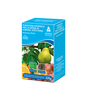 Fungicida sistemico per agrumi,vite e pero Momentum PFnPE a base di Fosetil Alluminio Kollant