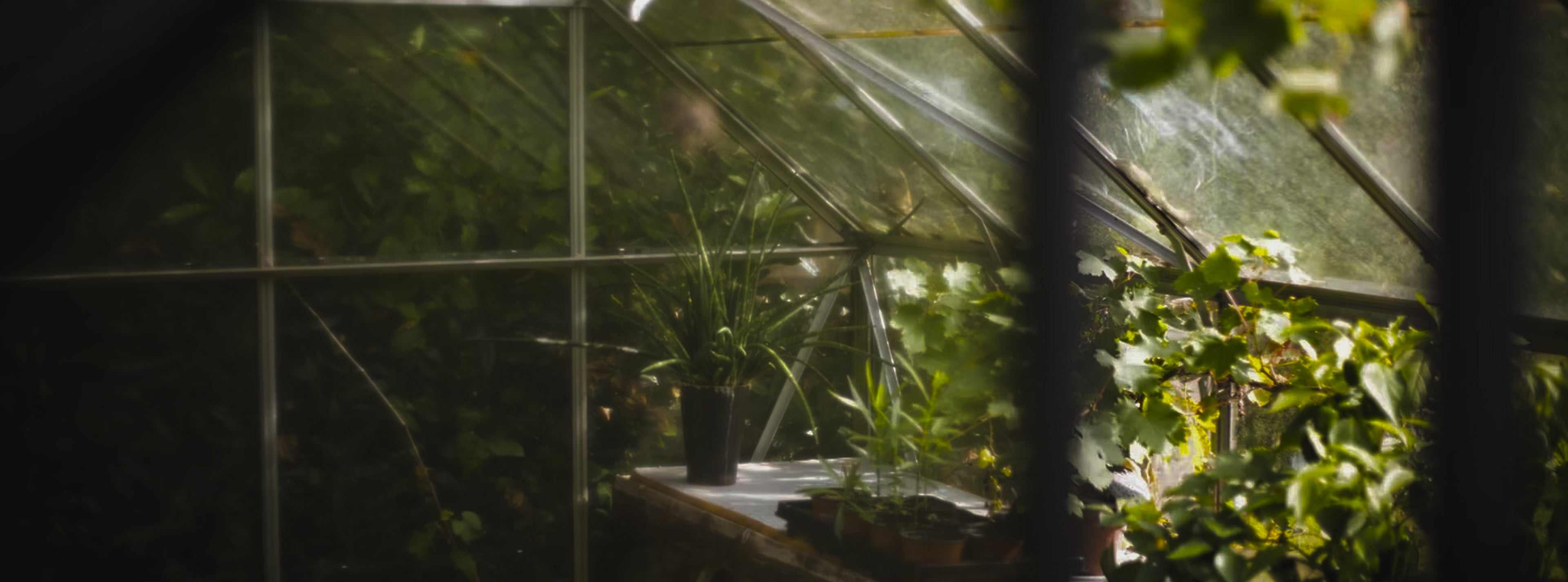 slider image slider_item_dHXAmz