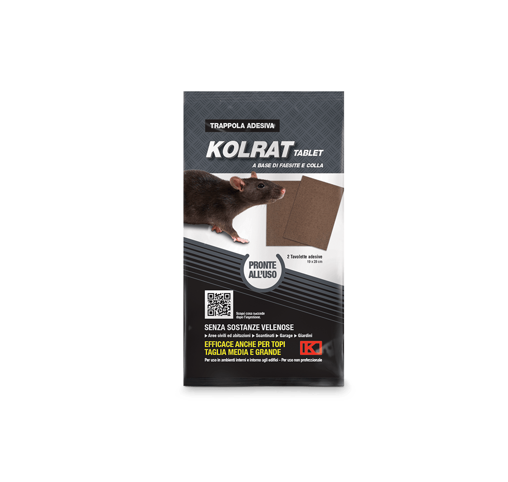 Piège à glu pour rats Kolrat Kollant tablettes collées