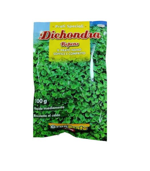 Sementi per prato Dichondra Repens ORTOLANO