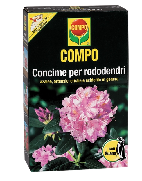 Compo Rododendri